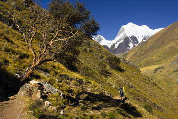 Fototapeta na wymiar Cordiliera Huayhuash, mountains in Andes - Peru, South America