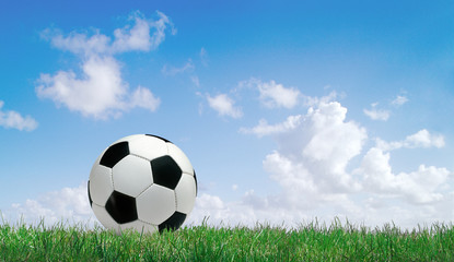 ein Fußball liegt auf dem Spielfeld