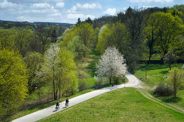 Fototapeta premium Blühende Frühlingslandschaft mit Bäumen und Bikern