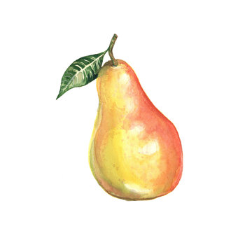 watercolor illustration of a pear on a white background