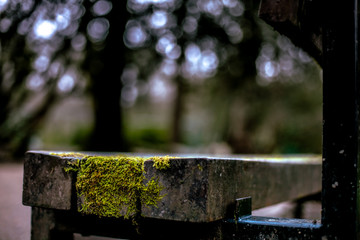 ławka © Leon photography