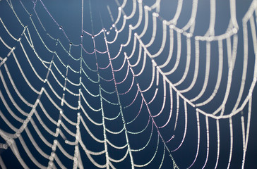 Close up photo of the dew clad spider web with the misty blue bog lake background