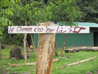 sign for sale