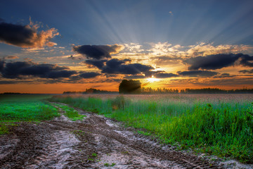 Dawn over the field