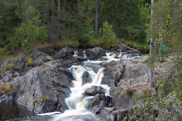 waterfall in the summer forest