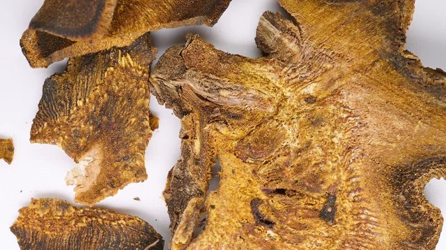 top view herb medicine DaHuang or Rhei Radix et Rhizoma or Tangute Rhubarb rotate and pause