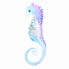 watercolor seahorse, vector illustration