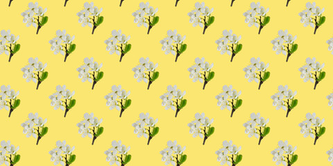 Seamless pattern of cherry blossom twigs on yellow. Seasonal natural background. Spring texture