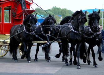 stagecoach