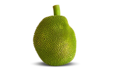 Jackfruit (Artocarpus heterophyllus lam)isolated on the white background.