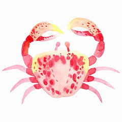 watercolor crab on a white background, vector illustration © ARTvektor