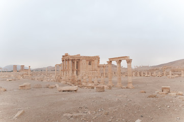 Resti della antica Palmira