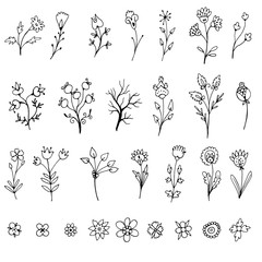 Set of simple doodles of flowers and twigs