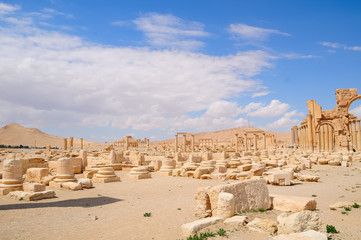 Obraz premium palmira resti rimani