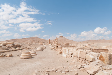 palmira resti rimani