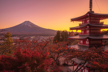 山梨県 新倉山浅間公園 富士山 紅葉 夕景