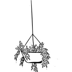 Hanging Plant Illustration 