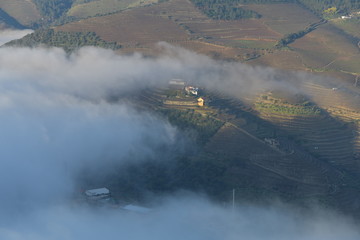 fog in the mountains