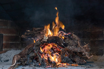 Fiery background, firewood, traditional cuisine