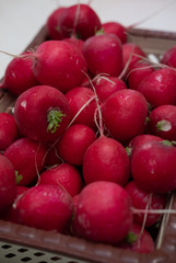 Red radishes, fresh pink radishes in the basket, fresh spring vegetables, vegetables on the table