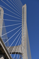 Obraz premium Vasco da Gama Bridge