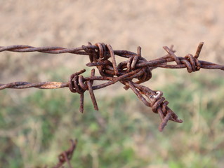 Rusty barbed wire on green blur background.