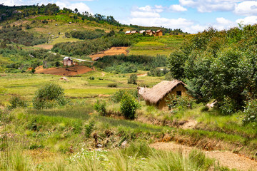 Fototapeta na wymiar Landscape shots of green fields and landscapes on the island of Madagascar
