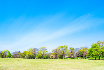 春色の公園