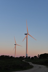 wind turbines farm