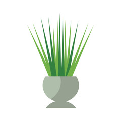 Home plant vector