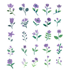 Violet flowers set