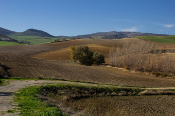 Fototapeta na wymiar colorful panoramas of the Andalusian countryside
