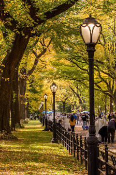 THE MALL, CENTRAL PARK, NEW YORK, USA-OCT, 26: People walking down through the Mall in the Park, October, 26, 2019.