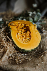 delica pumpkin in the garden. Kabocha, is Japanese pumpkin slice or green pumpkin on Grey background