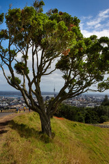 Obraz premium A view from Mount Eden of Auckland city in the North Island of New Zealand