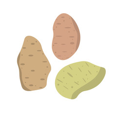 Potato isolated icon