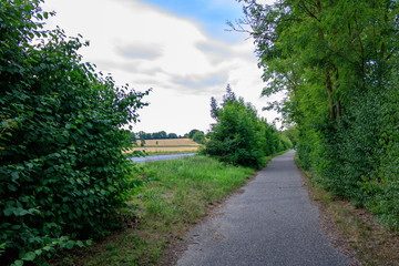 Fototapeta na wymiar Empty path amidst trees in rural landscpae with blus ky in summer in Bad Friedrichshall, Germany