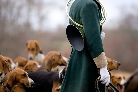 Journ&eacute;e traditionnelle de chasse a courre