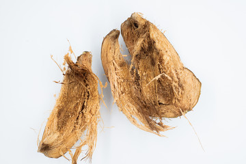 Coconut shell