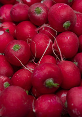 Red radishes, fresh pink radishes in the basket, fresh spring vegetables, vegetables on the table