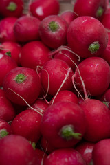Red radishes, fresh pink radishes in the basket, fresh spring vegetables, vegetables on the table