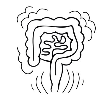 recommend clip art: Healthy intestines, colon line icon. Isolated on white background. Vector illustration of human colon for proctology clinic. Human digestive system. Human internal organs.