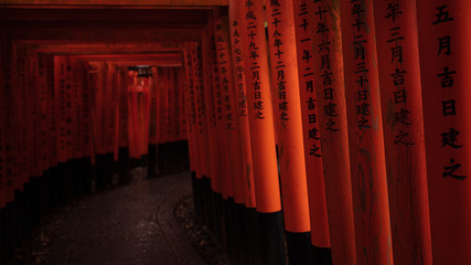 京都府 伏見稲荷大社 千本鳥居 雨
