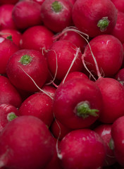 Red radishes, fresh pink radishes in the basket, fresh spring vegetables, vegetables on the table