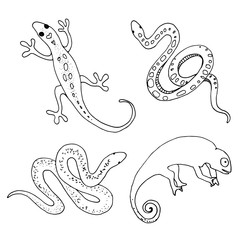 Set of hand drawn reptiles contour drawing.