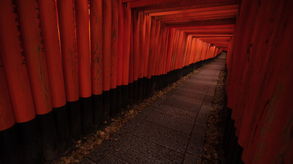 Fototapeta premium 京都府 伏見稲荷大社 千本鳥居 雨