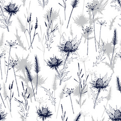Fototapety  Wzór z dzikich ziół łąka i niebieskie kwiaty ostu.