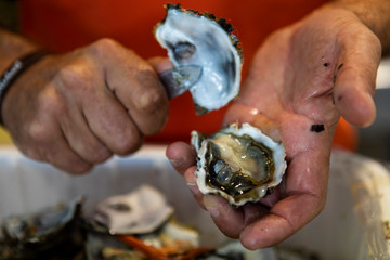 Ouverture des huitres chez un  mareyeur