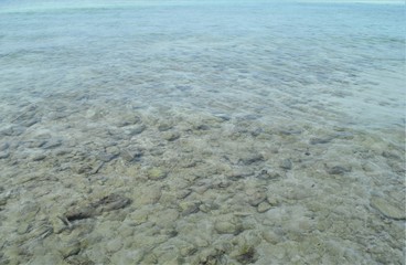 background of  transparent water