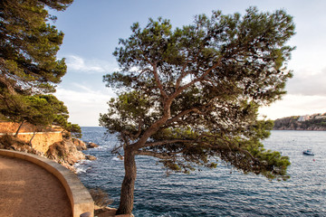 Paysage de la Costa Brava pres de Barcelone